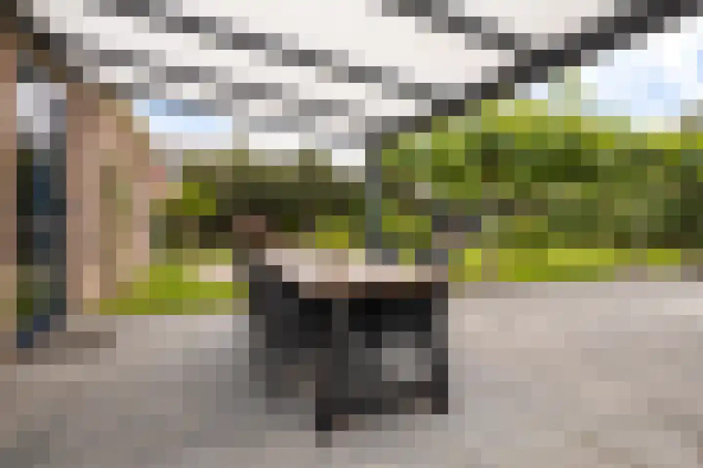 de Linden 6 Wagenborgen thumbnail 25
