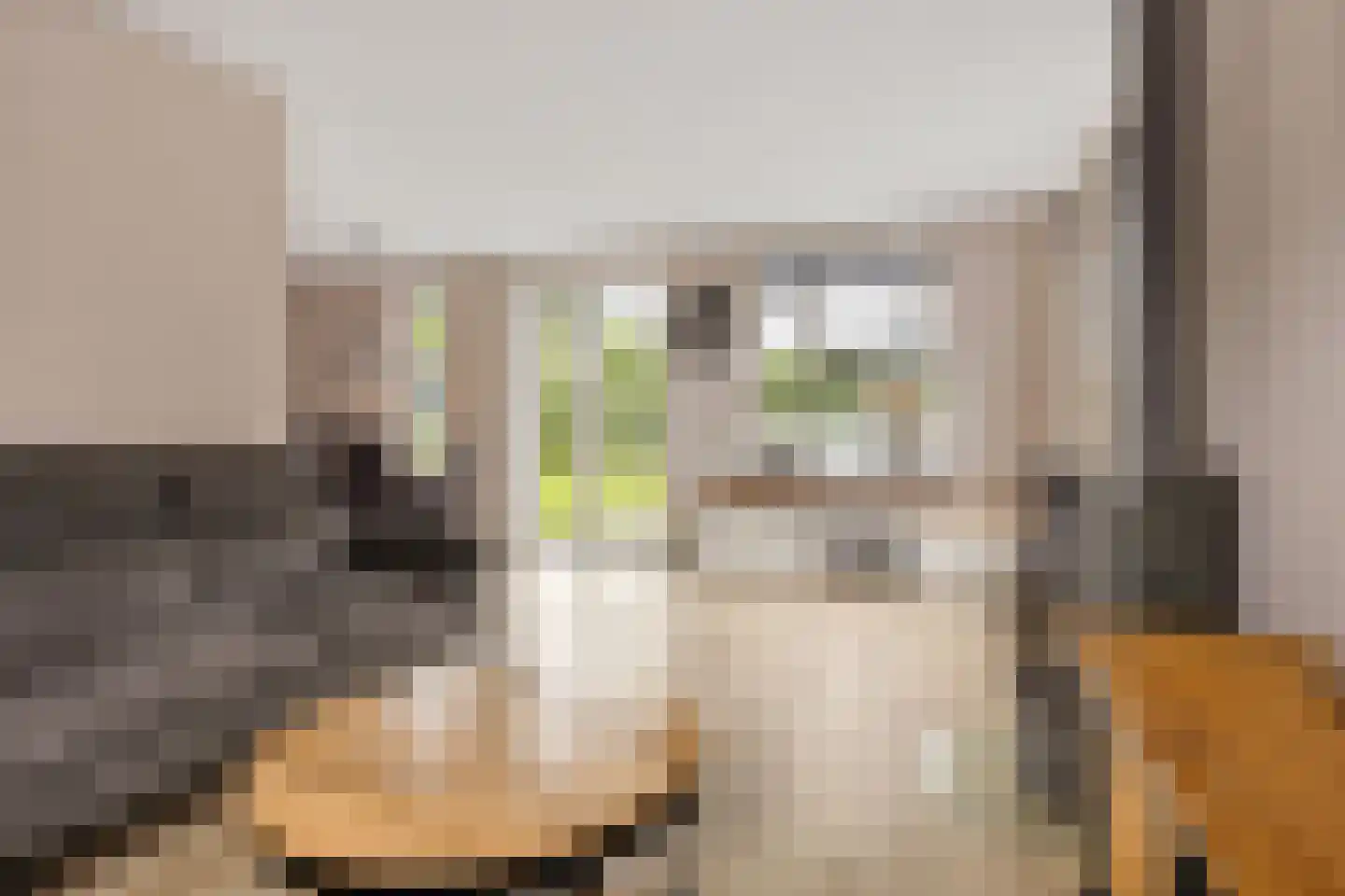 de Linden 6 Wagenborgen thumbnail 33
