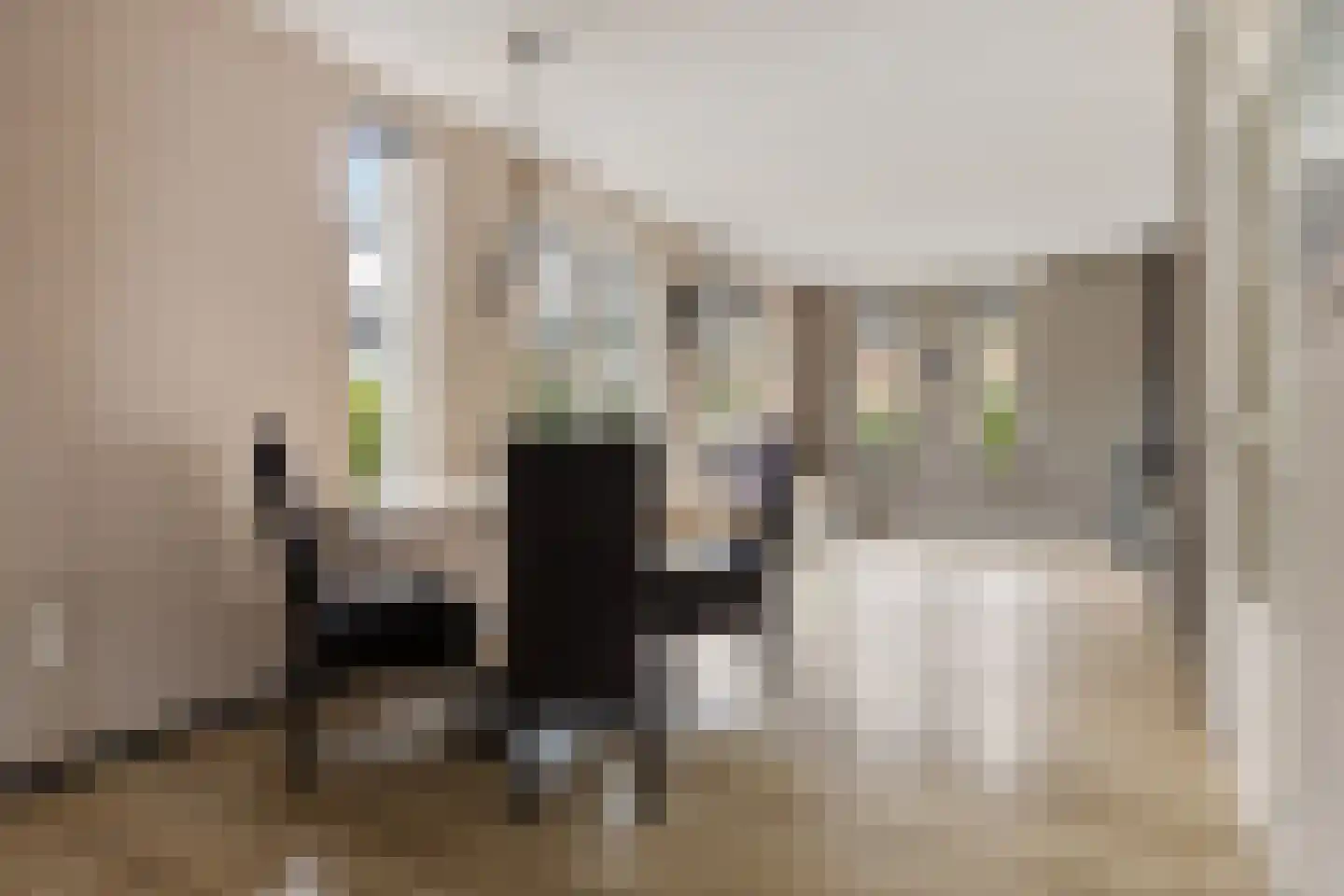 de Linden 6 Wagenborgen thumbnail 35