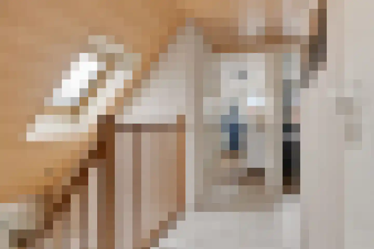 de Linden 6 Wagenborgen thumbnail 47