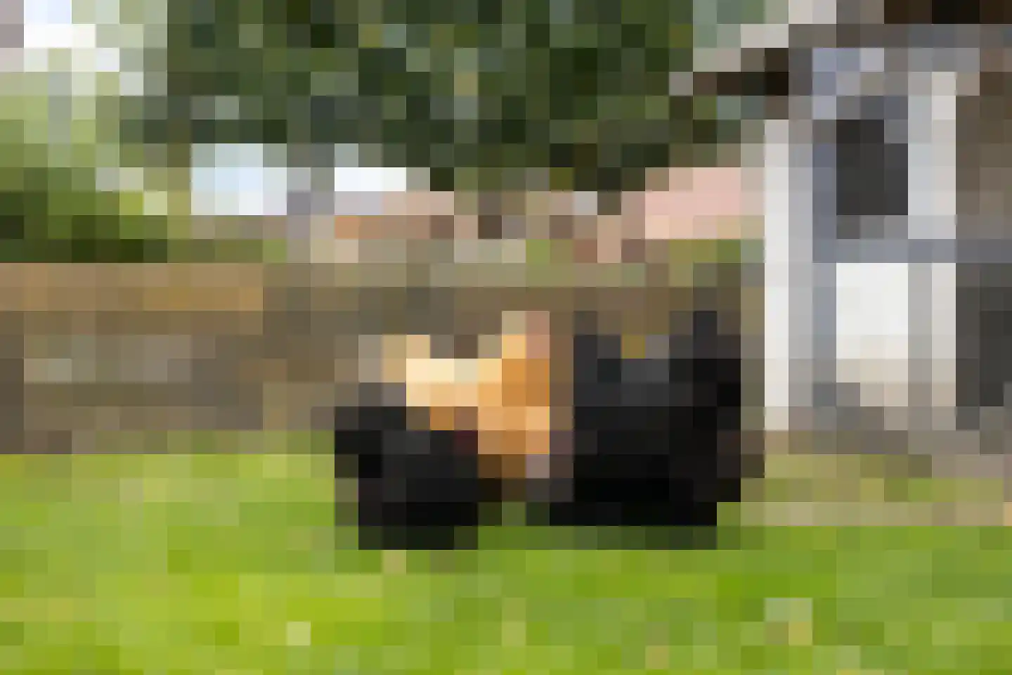 de Linden 6 Wagenborgen thumbnail 5