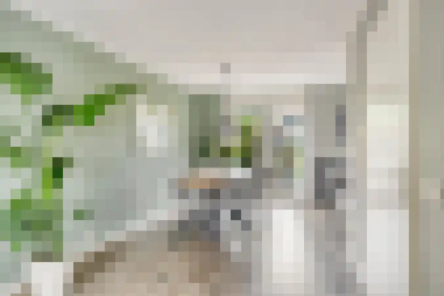 De Lindenhof 11 Zevenaar thumbnail 12