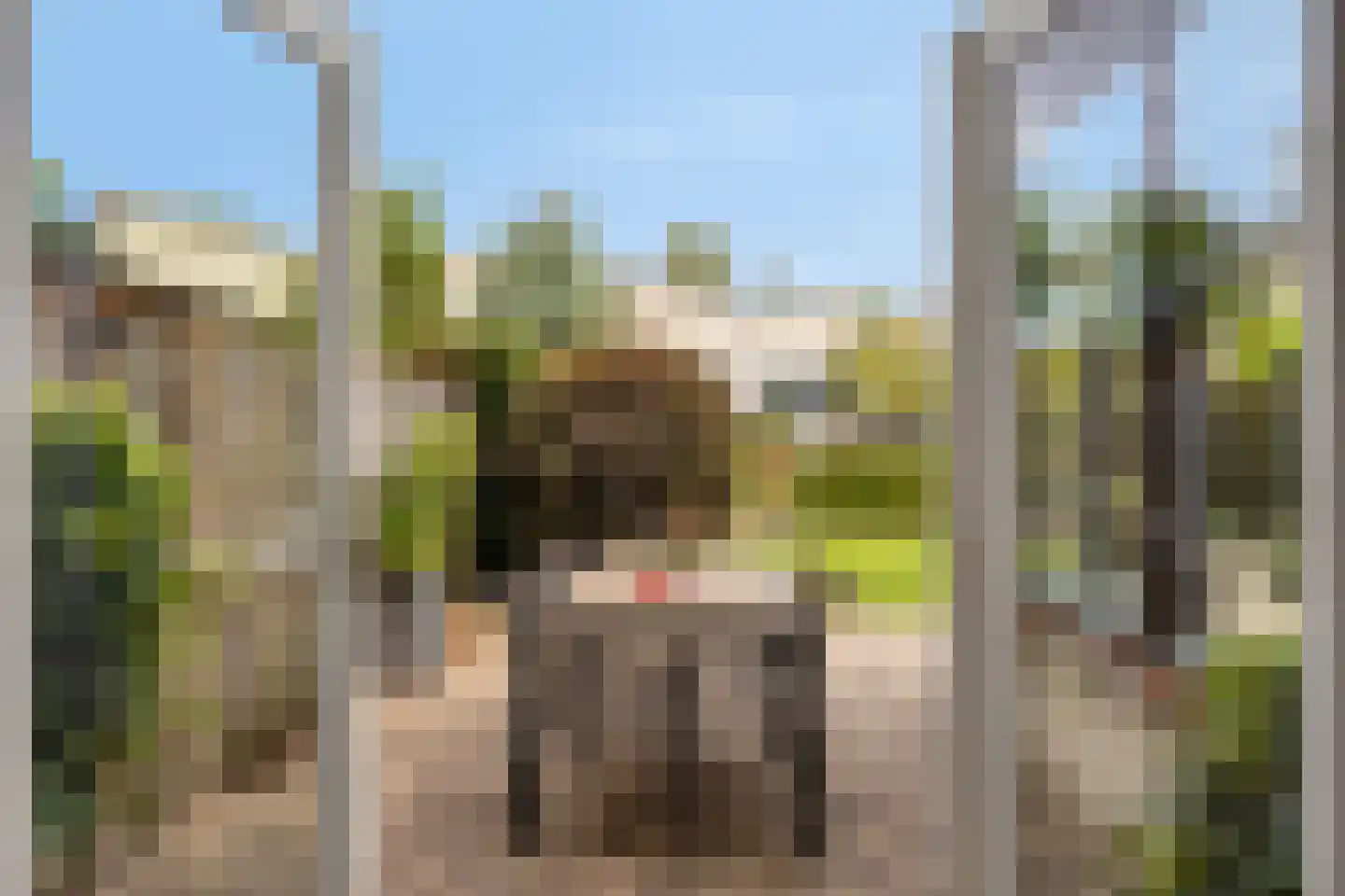 De Lindenhof 11 Zevenaar thumbnail 18