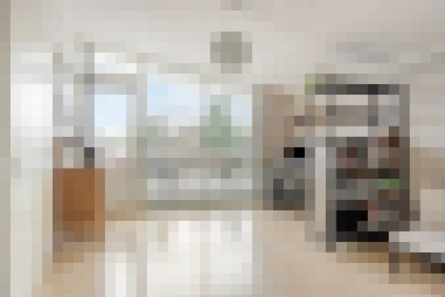 De Lindenhof 11 Zevenaar thumbnail 34