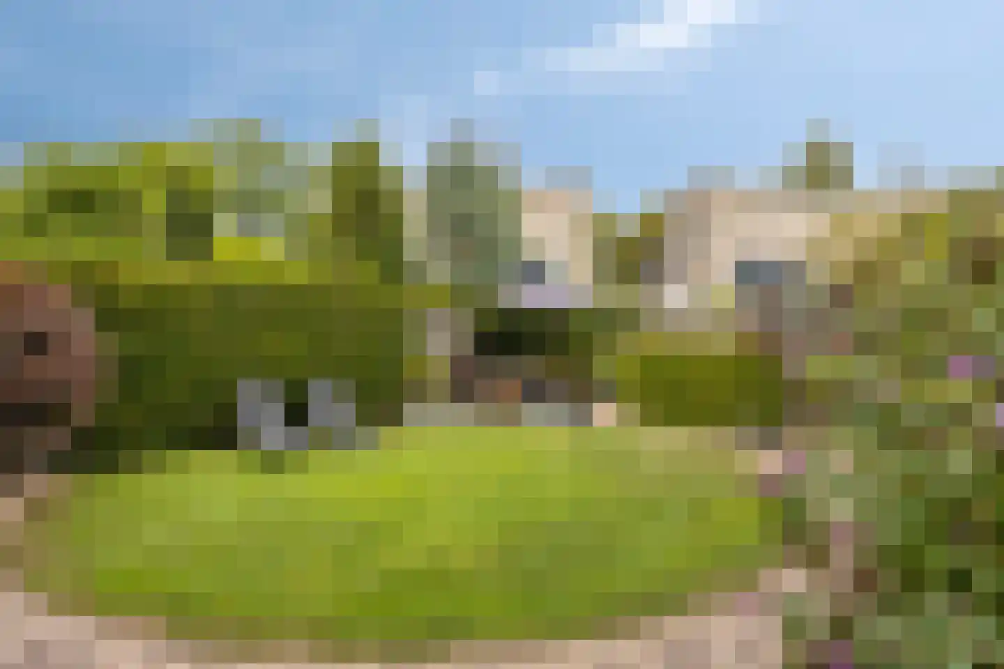 De Lindenhof 11 Zevenaar thumbnail 41