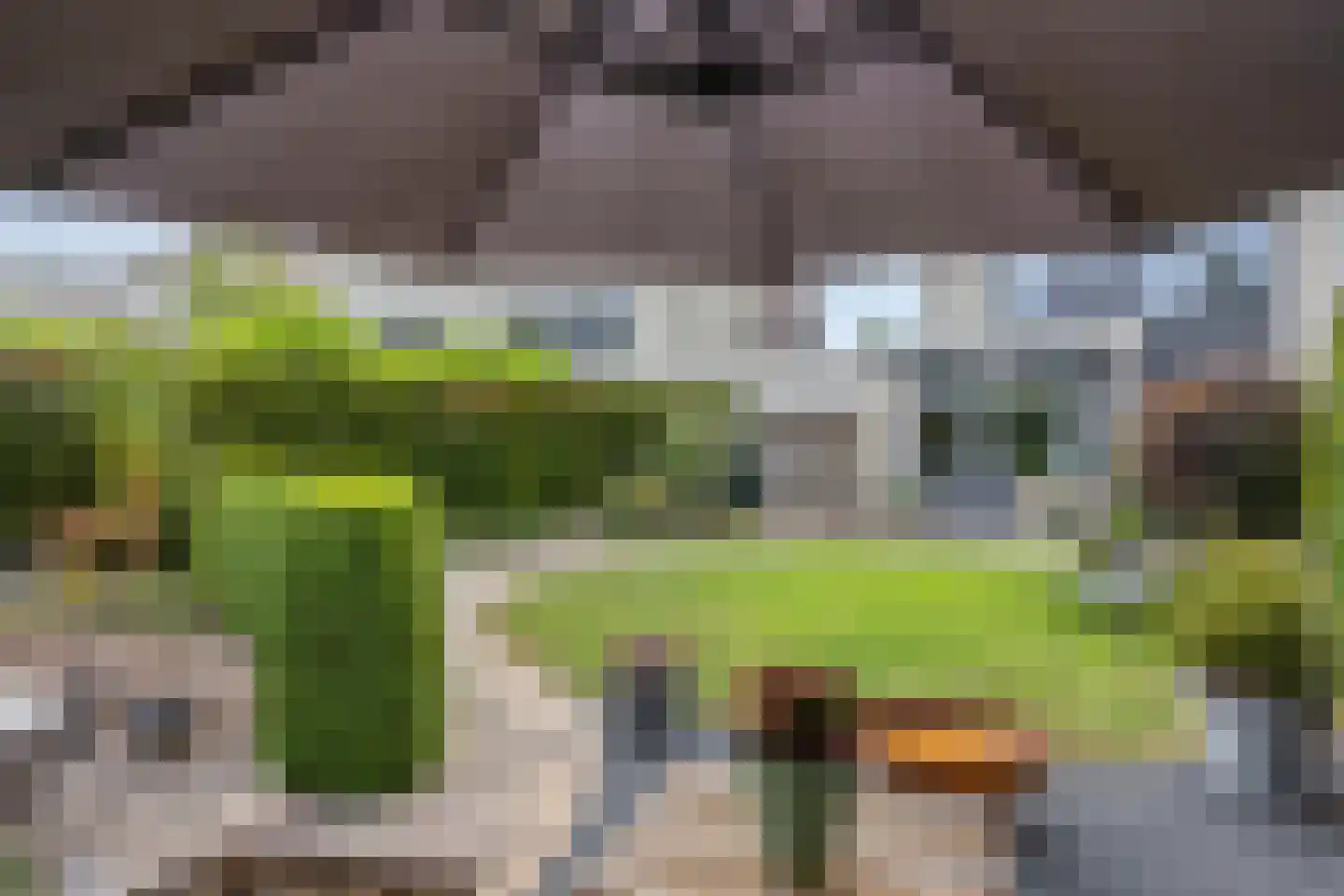De Lindenhof 11 Zevenaar thumbnail 45