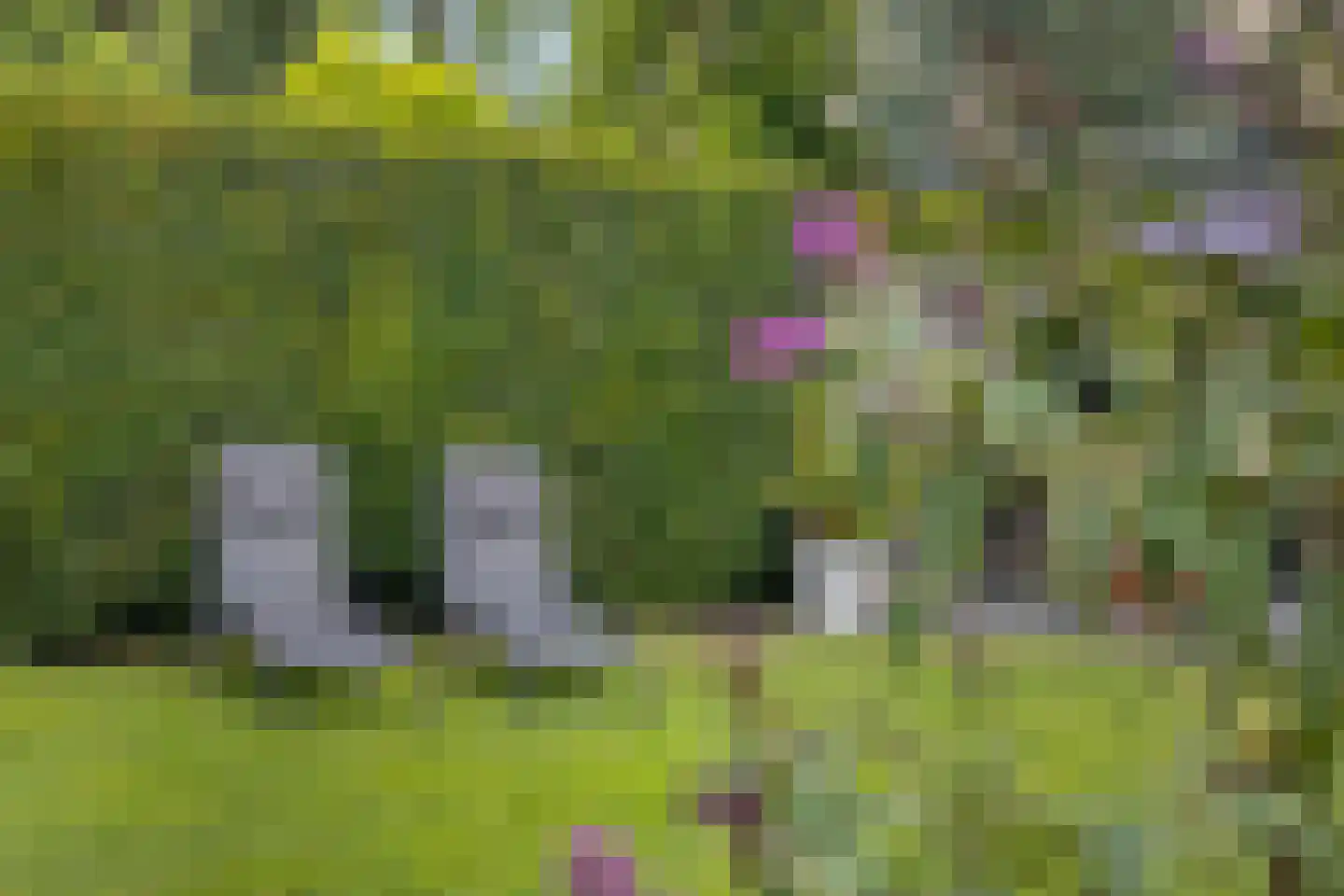 De Lindenhof 11 Zevenaar thumbnail 47