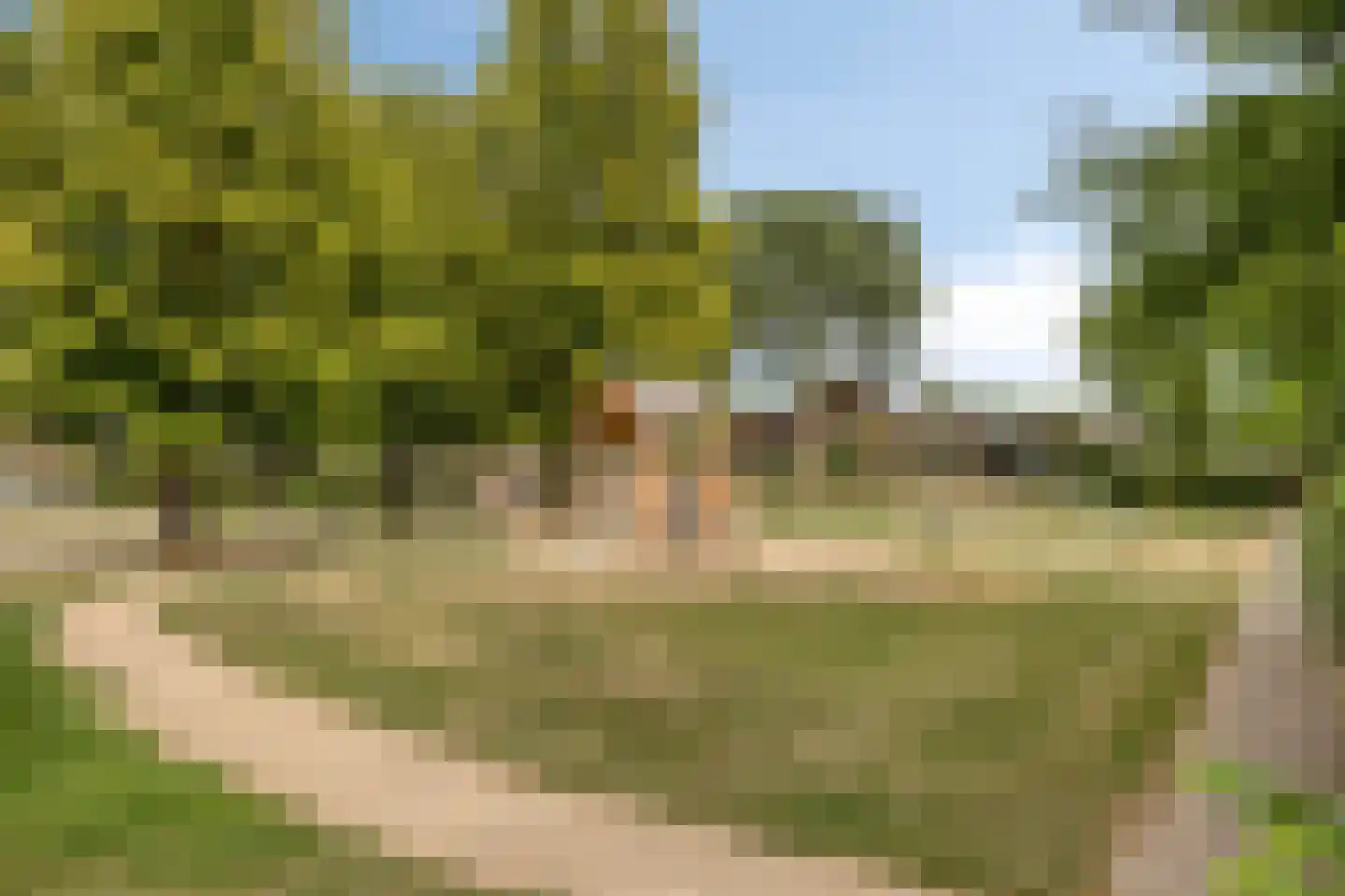 De Lindenhof 11 Zevenaar thumbnail 49