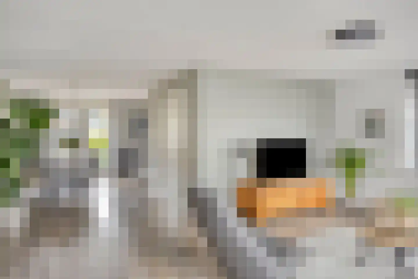De Lindenhof 11 Zevenaar thumbnail 9