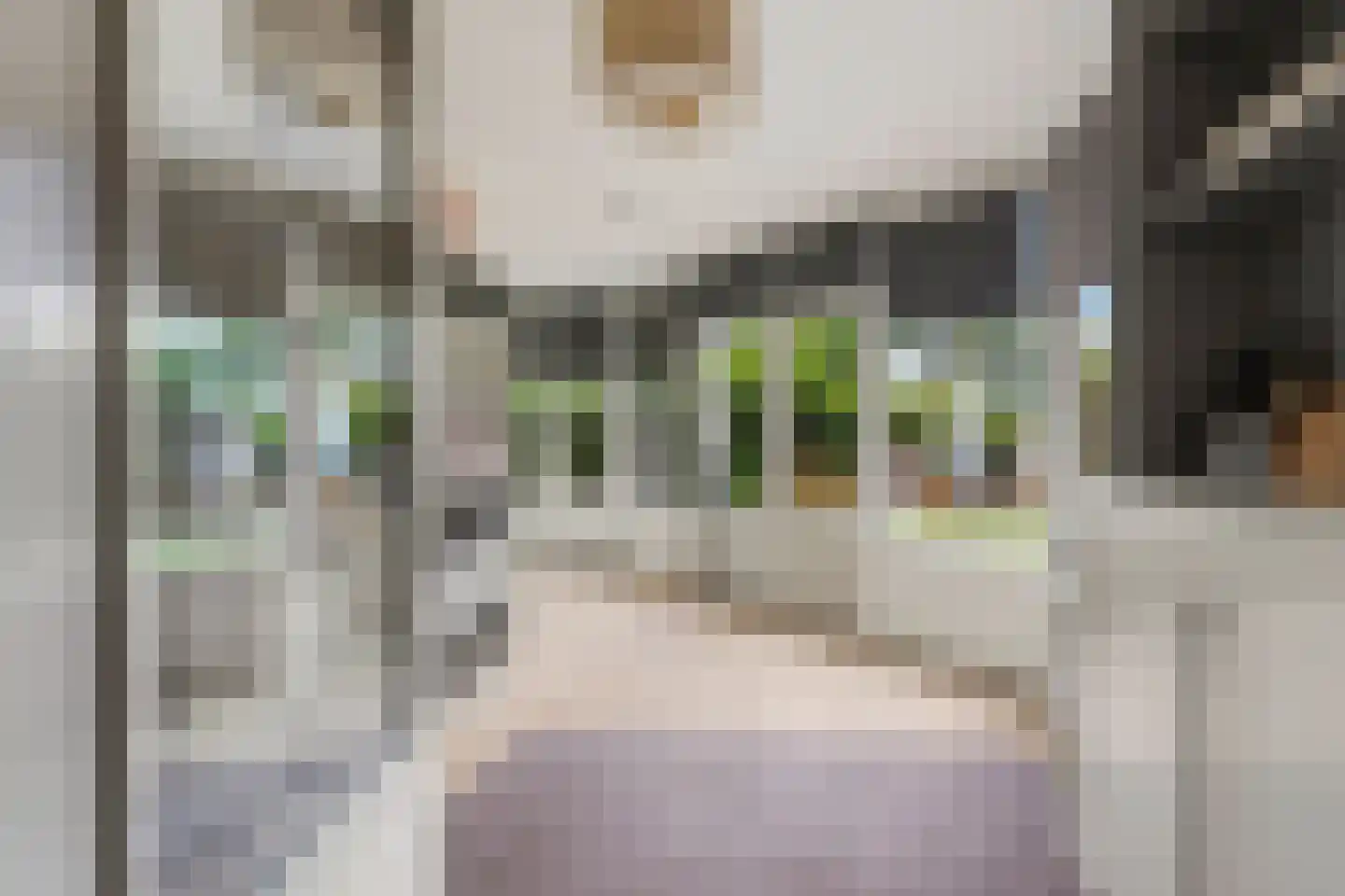De Lindenhof 13 Zevenaar thumbnail 16