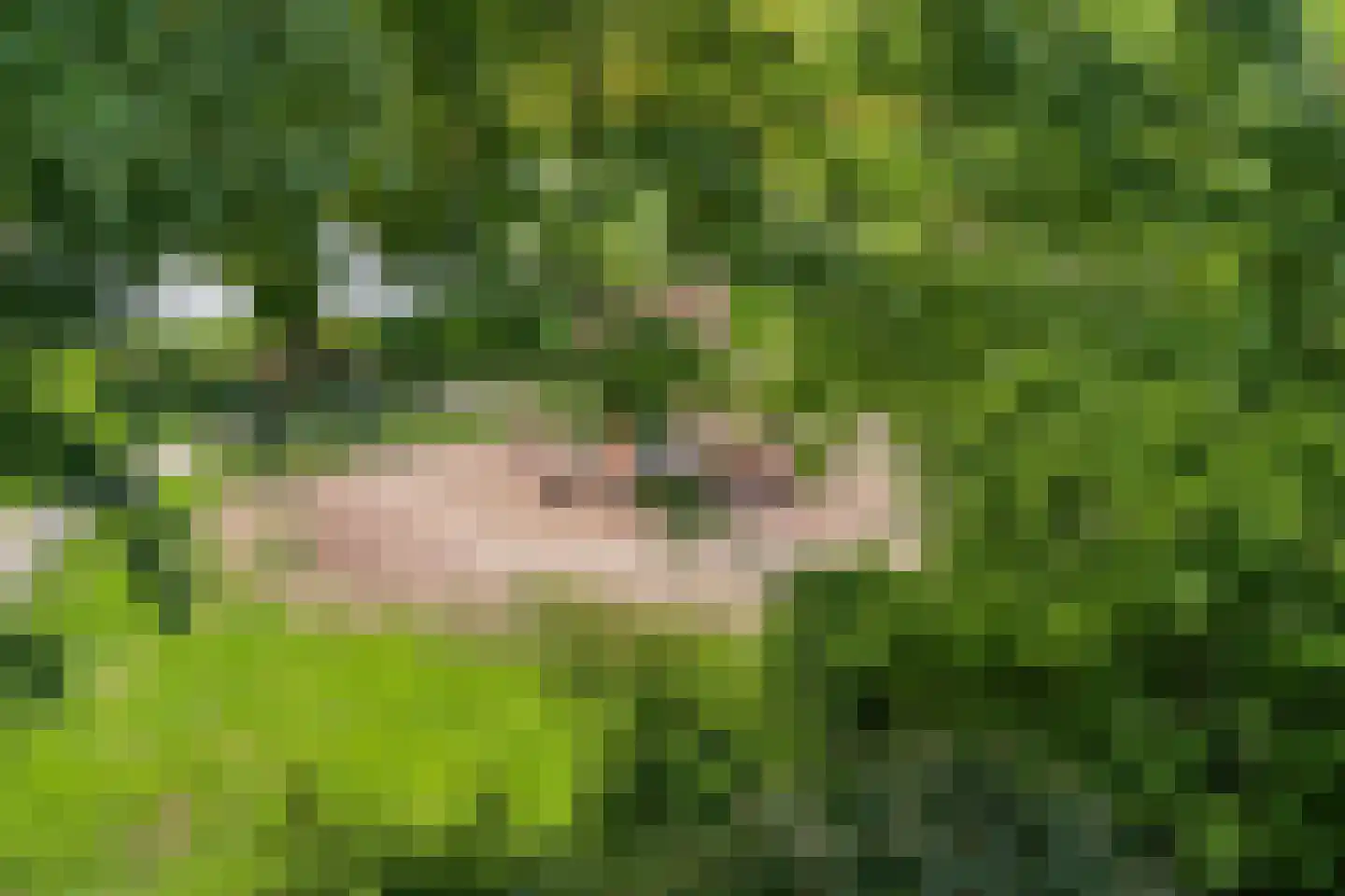De Lindenhof 13 Zevenaar thumbnail 41