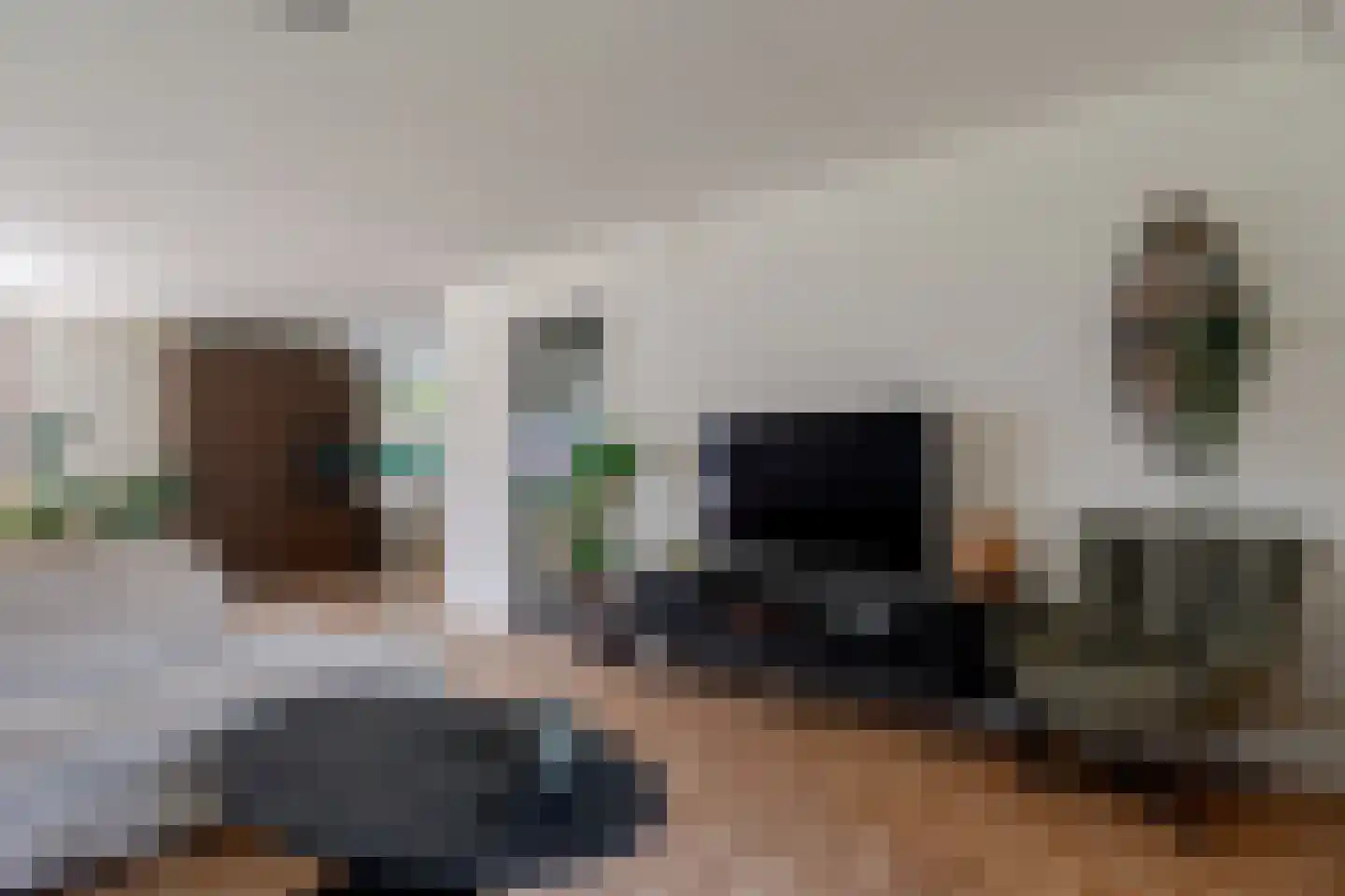 de Line 14 Jubbega thumbnail 11