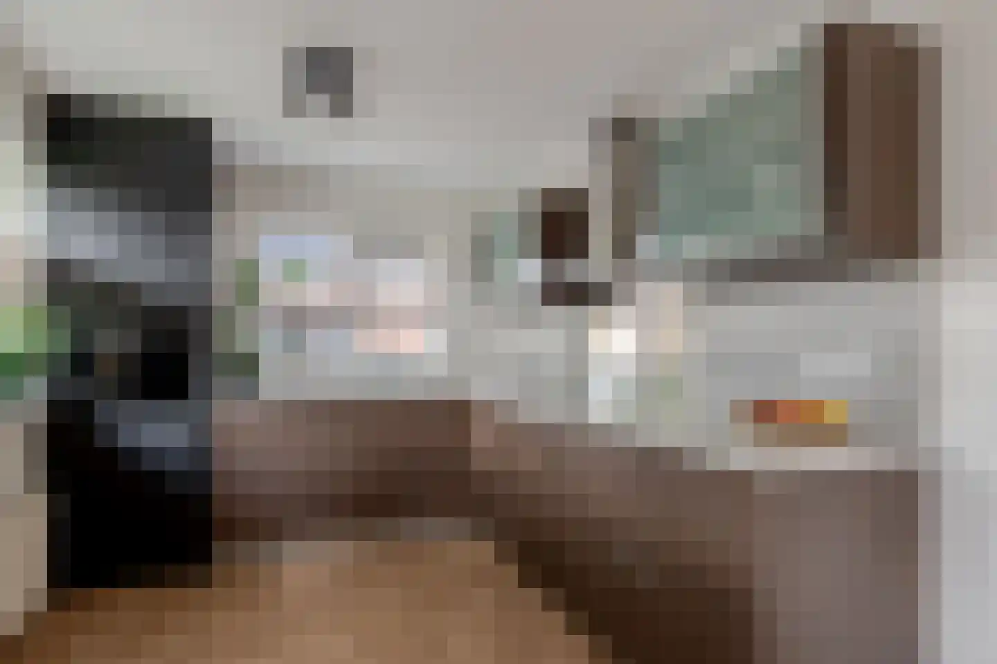 de Line 14 Jubbega thumbnail 17