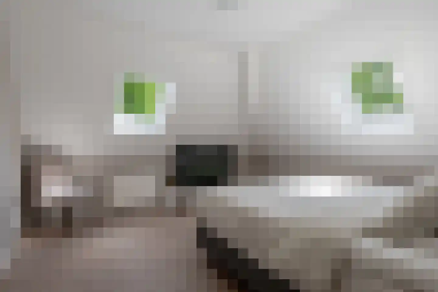 de Line 14 Jubbega thumbnail 25