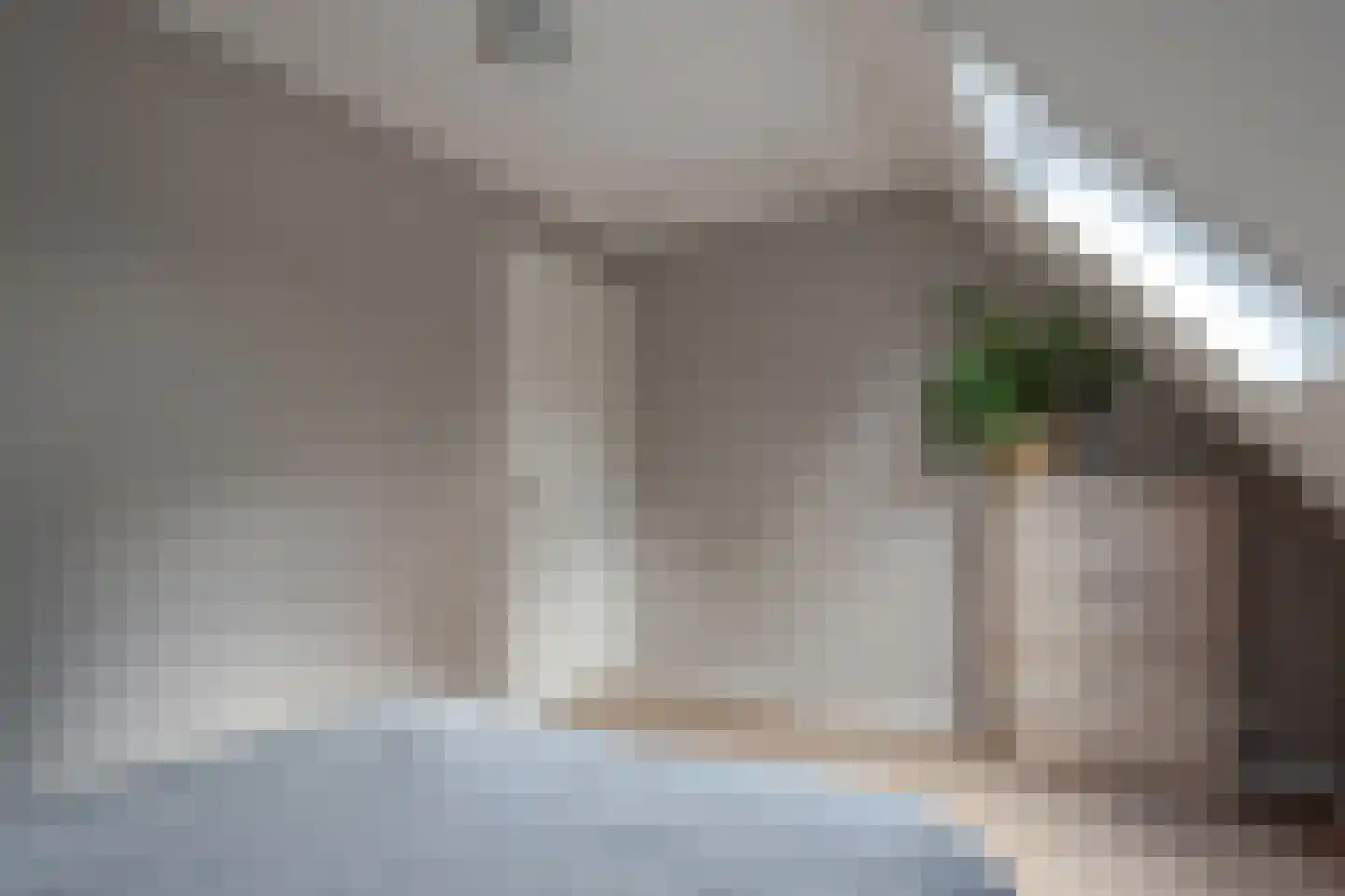 de Line 14 Jubbega thumbnail 28