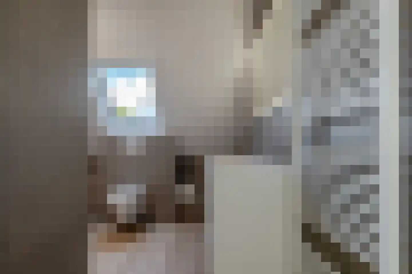 de Line 14 Jubbega thumbnail 29