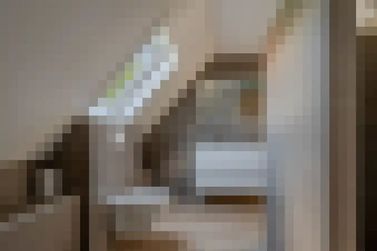 de Line 14 Jubbega thumbnail 31
