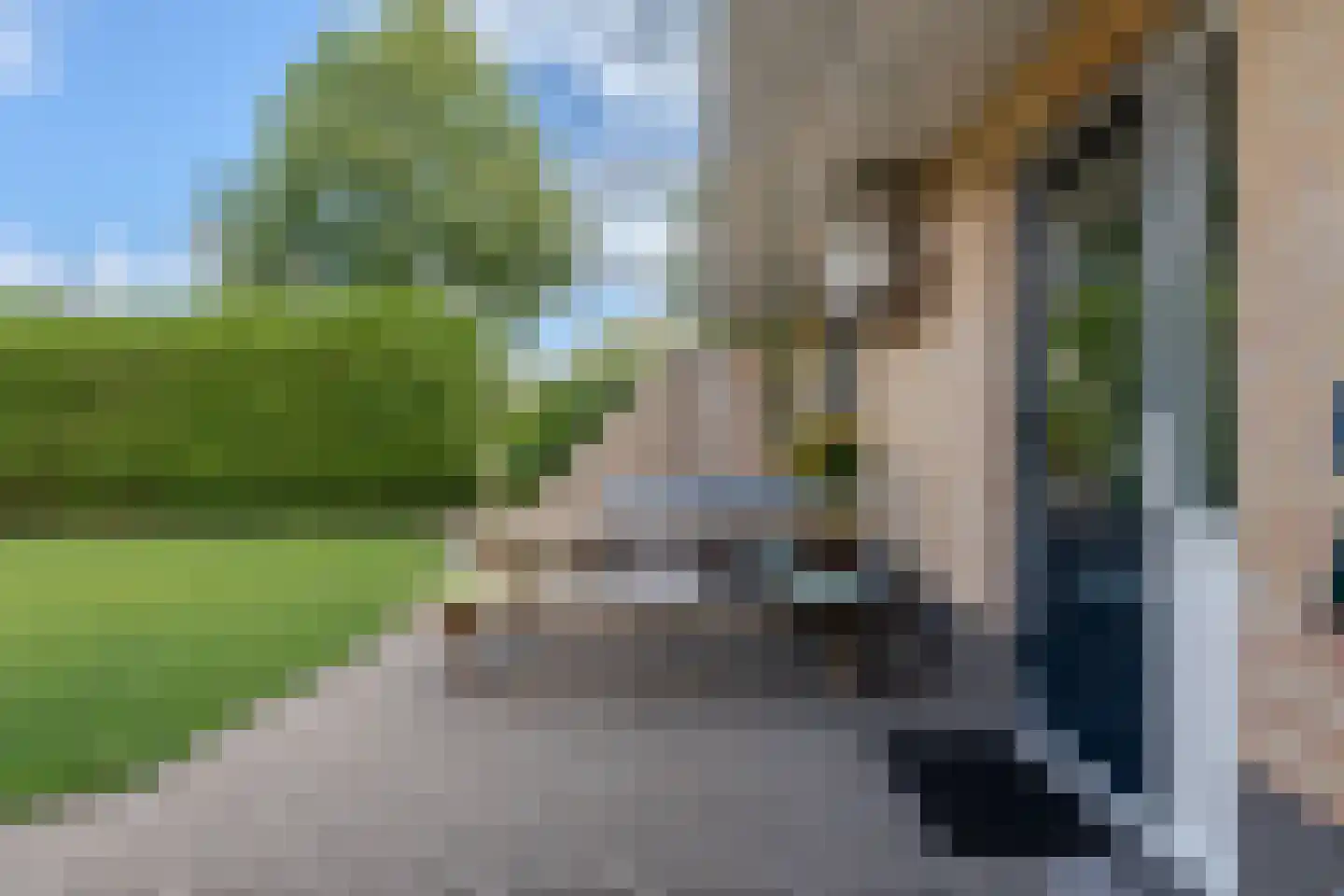 de Line 14 Jubbega thumbnail 37