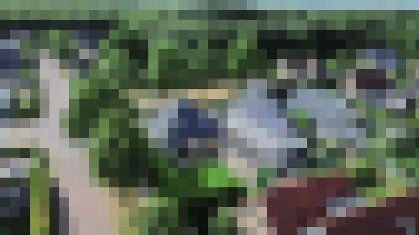 de Line 14 Jubbega thumbnail 41