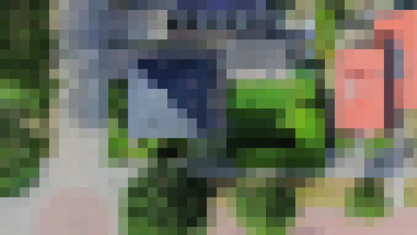 de Line 14 Jubbega thumbnail 42