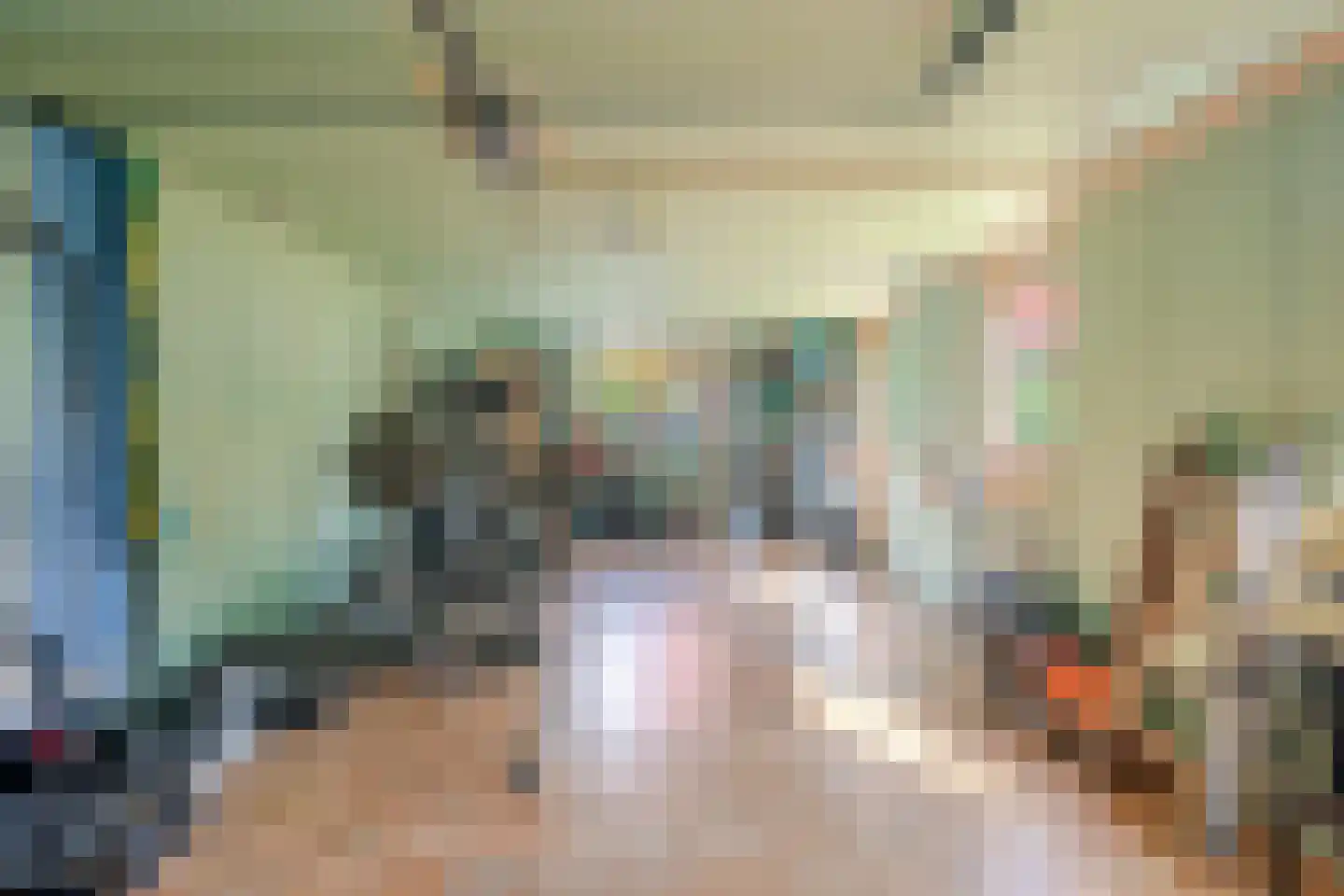 de Line 14 Jubbega thumbnail 43