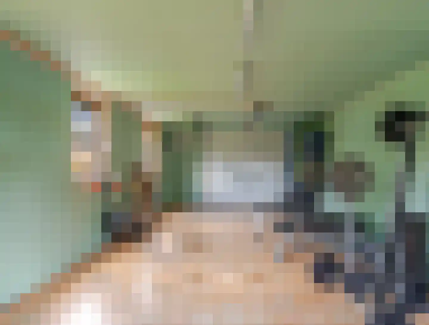 de Line 14 Jubbega thumbnail 44