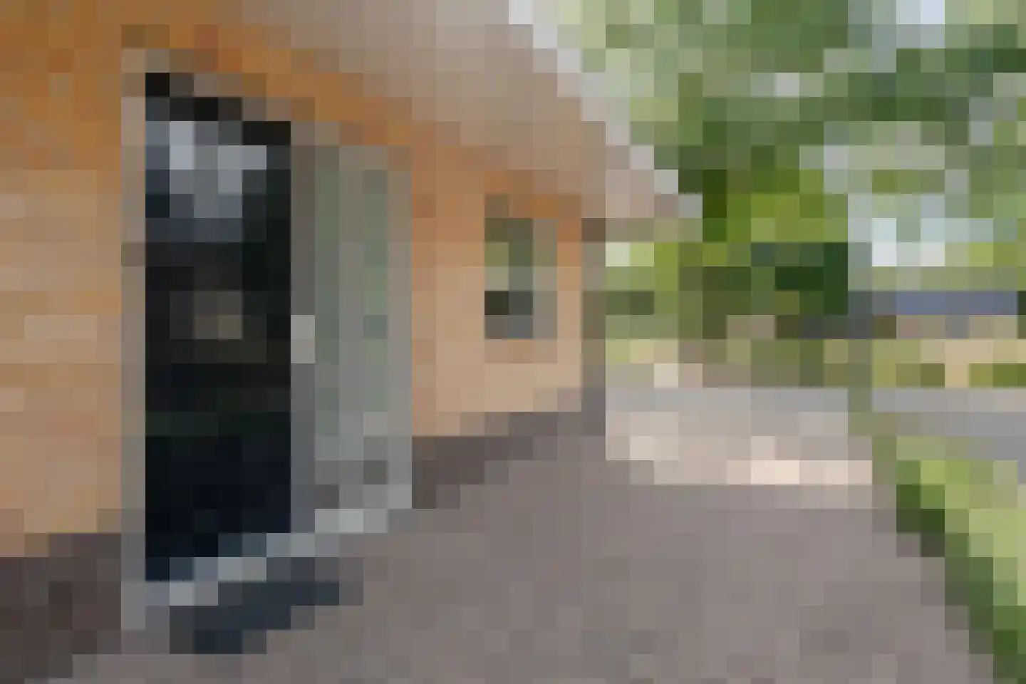 de Line 14 Jubbega thumbnail 5