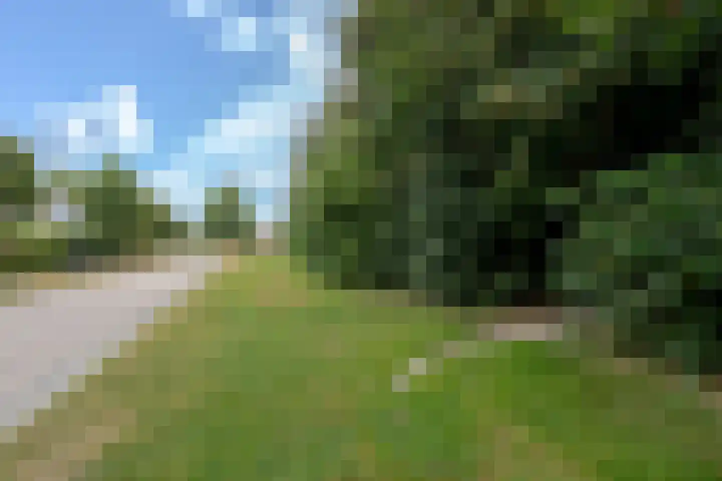 de Line 14 Jubbega thumbnail 50