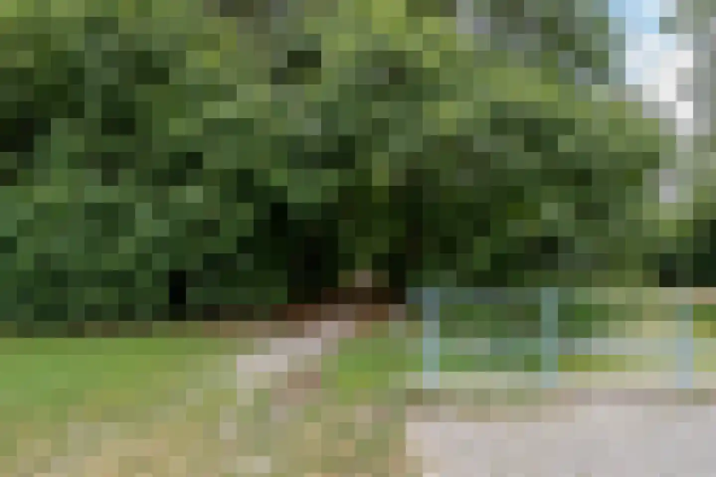 de Line 14 Jubbega thumbnail 51