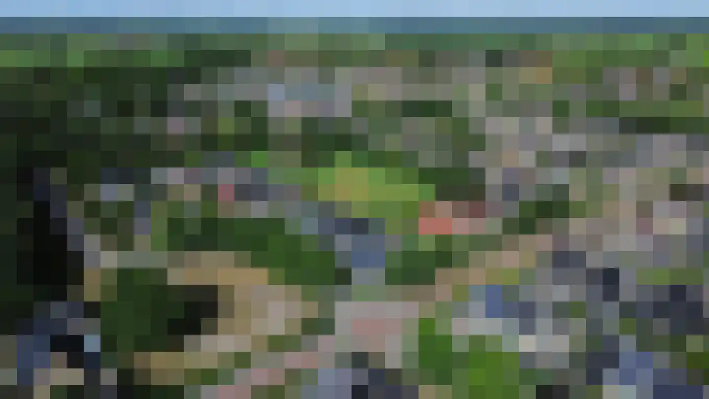 de Line 14 Jubbega thumbnail 52