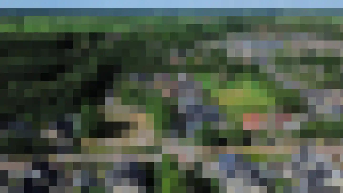 de Line 14 Jubbega thumbnail 53