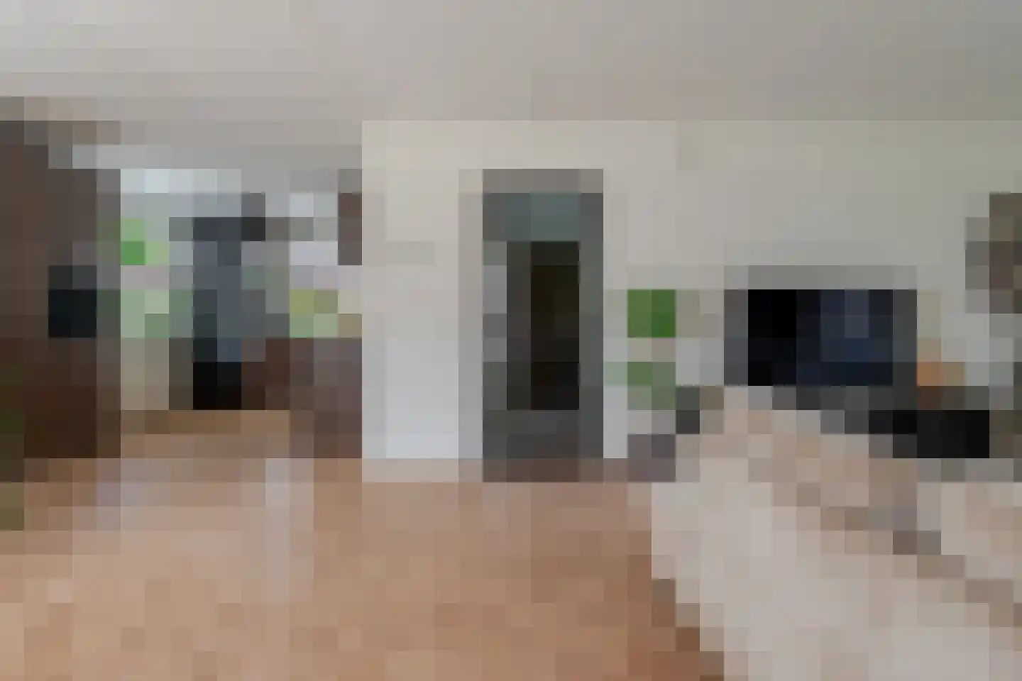 de Line 14 Jubbega thumbnail 8