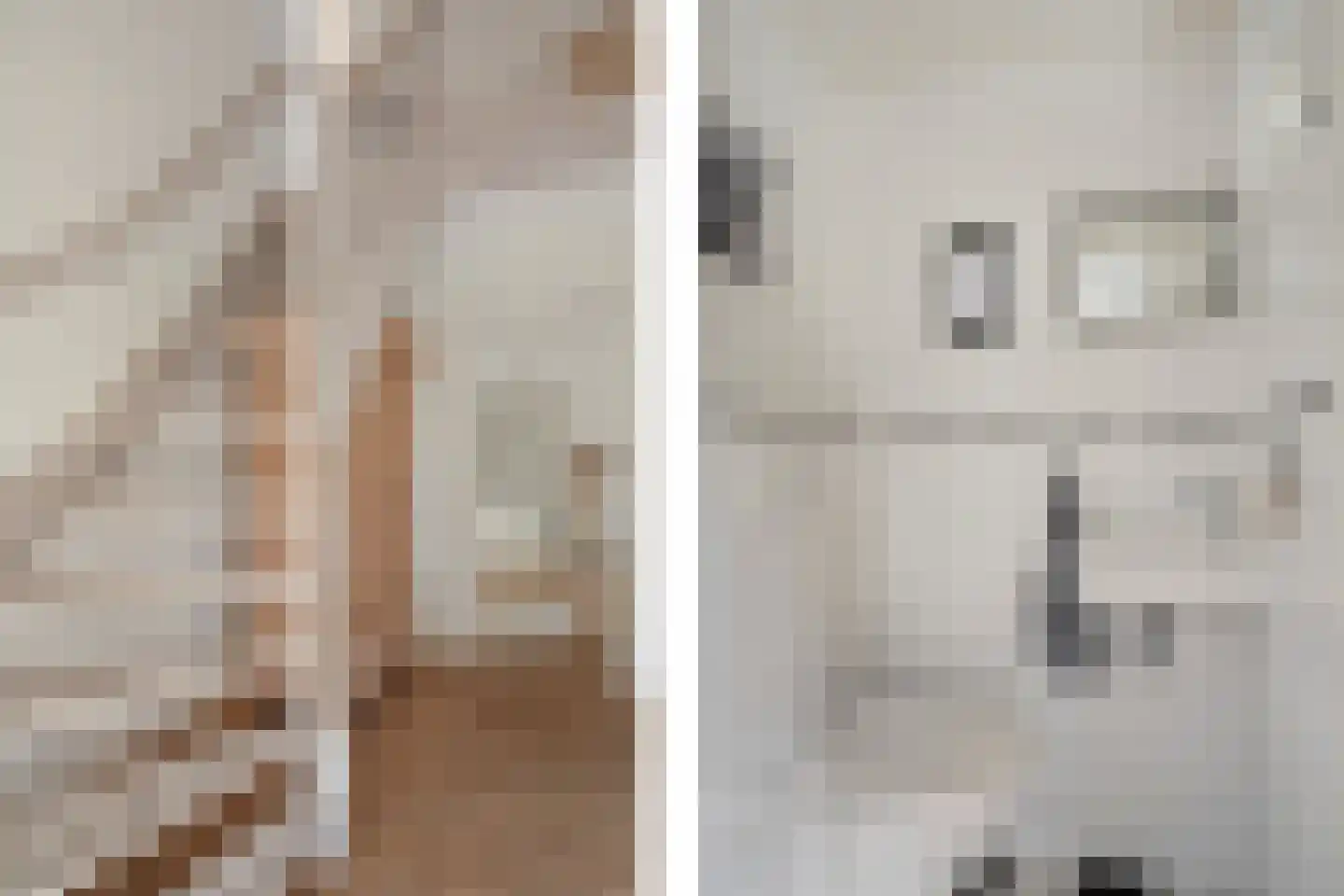 de Line 2 Jubbega thumbnail 10