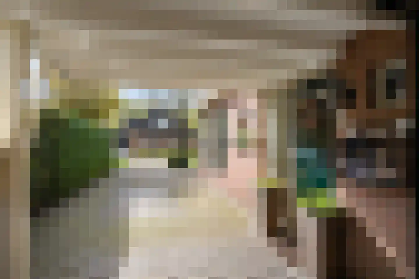 de Line 2 Jubbega thumbnail 11