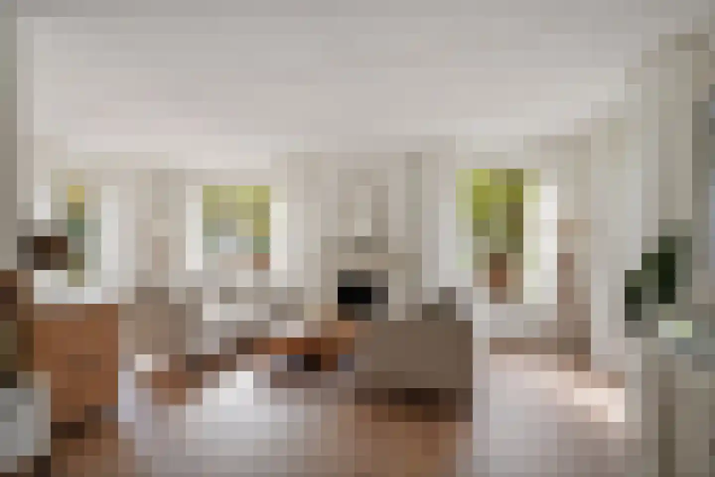 de Line 2 Jubbega thumbnail 11