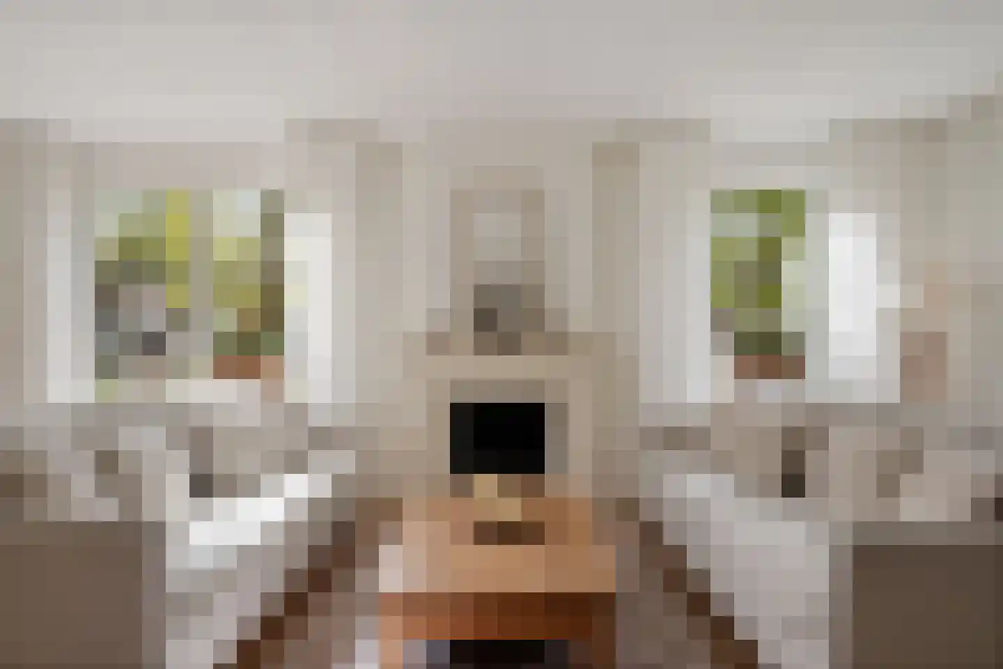 de Line 2 Jubbega thumbnail 15
