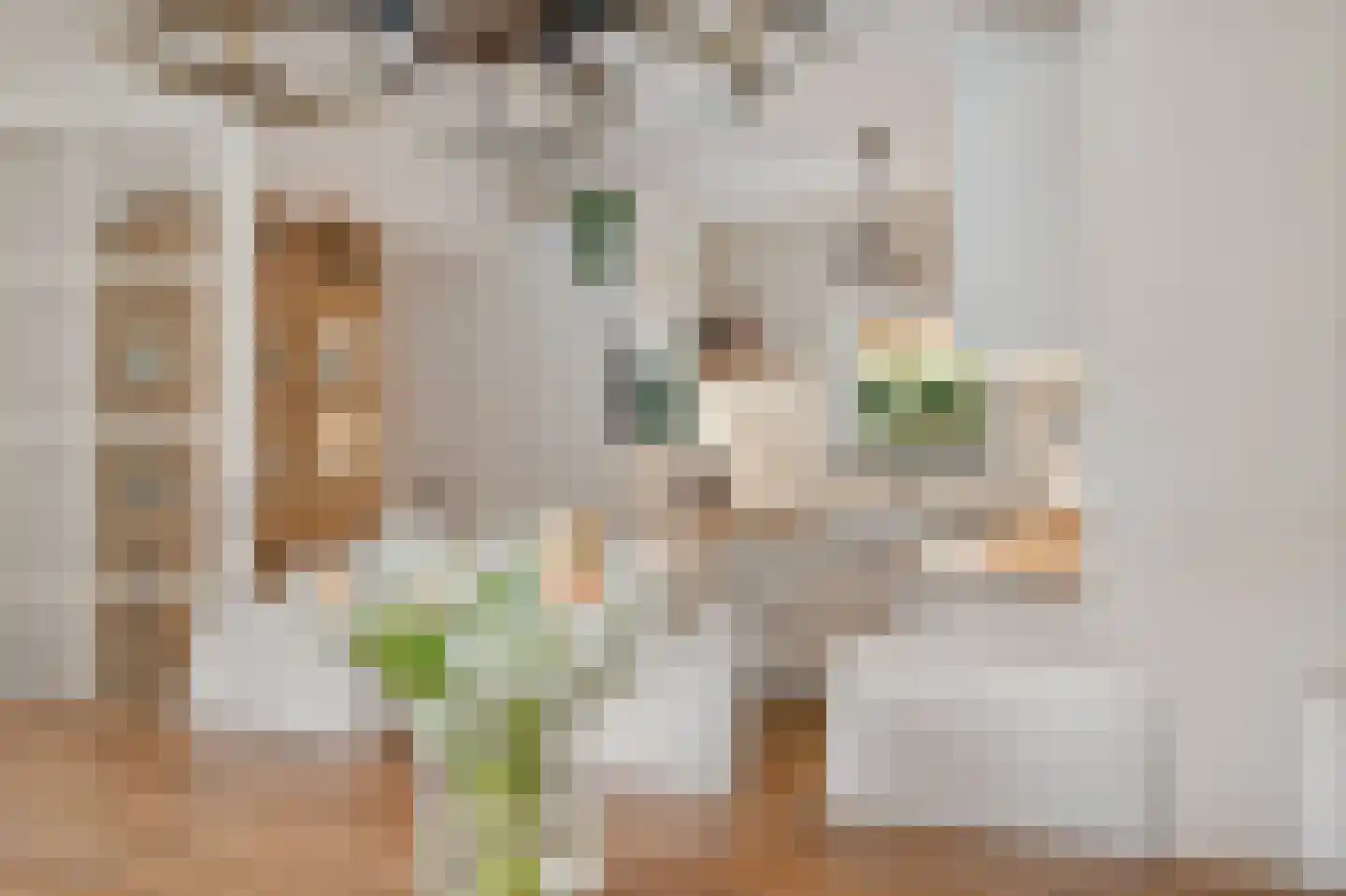 de Line 2 Jubbega thumbnail 17