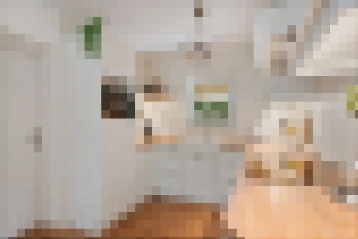 de Line 2 Jubbega thumbnail 18