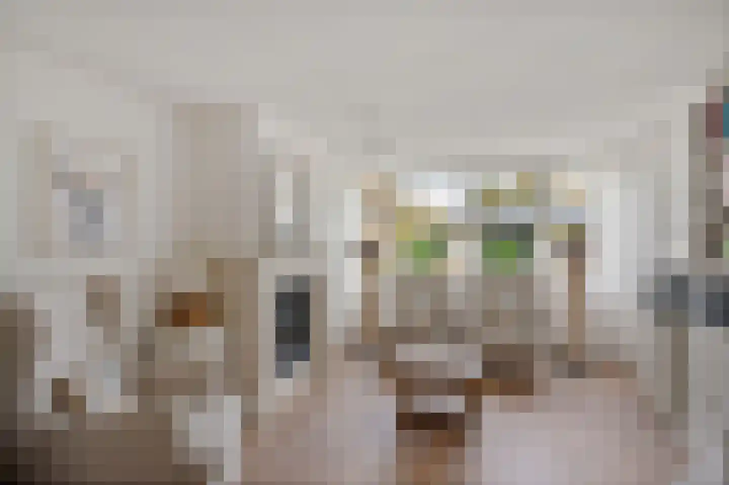 de Line 2 Jubbega thumbnail 19