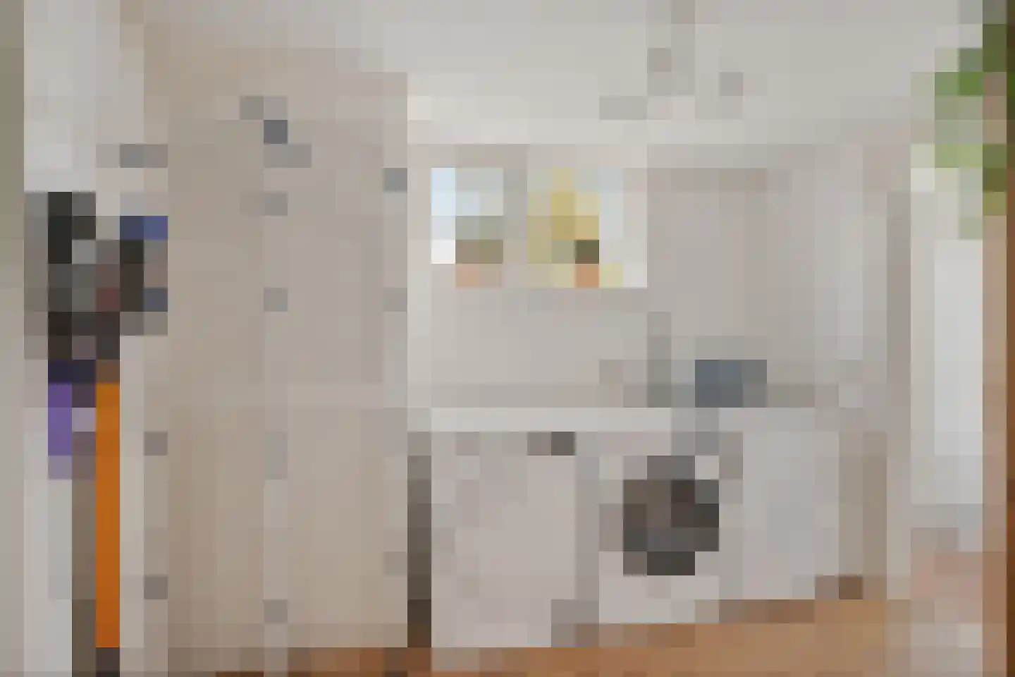 de Line 2 Jubbega thumbnail 21