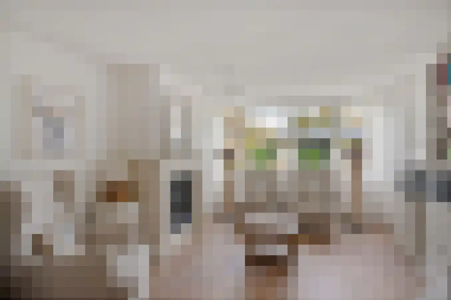 de Line 2 Jubbega thumbnail 24