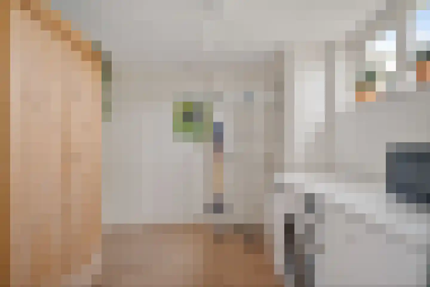 de Line 2 Jubbega thumbnail 27