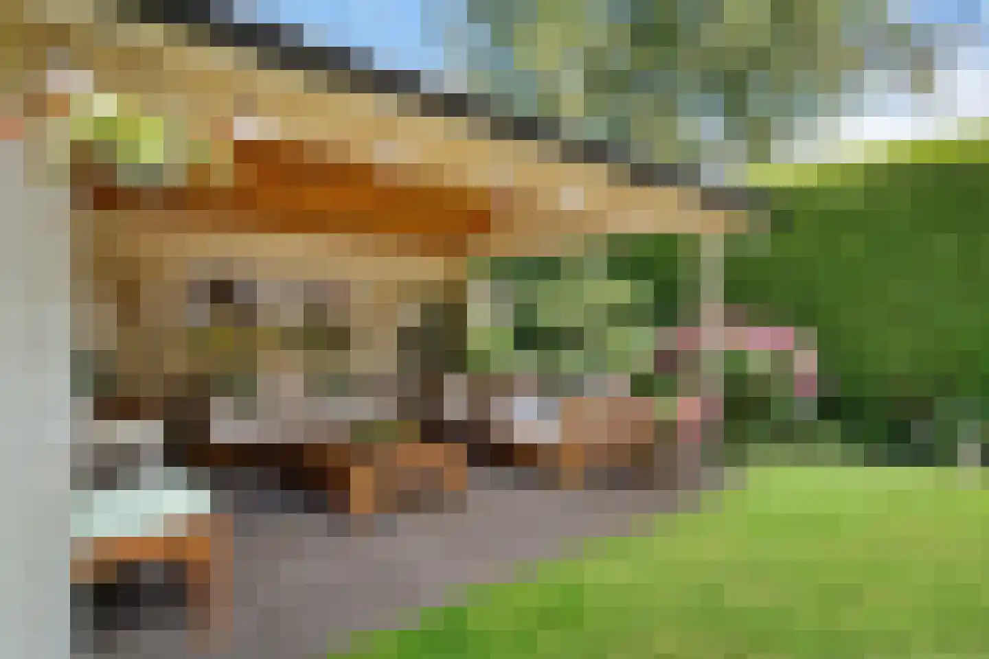 de Line 2 Jubbega thumbnail 31