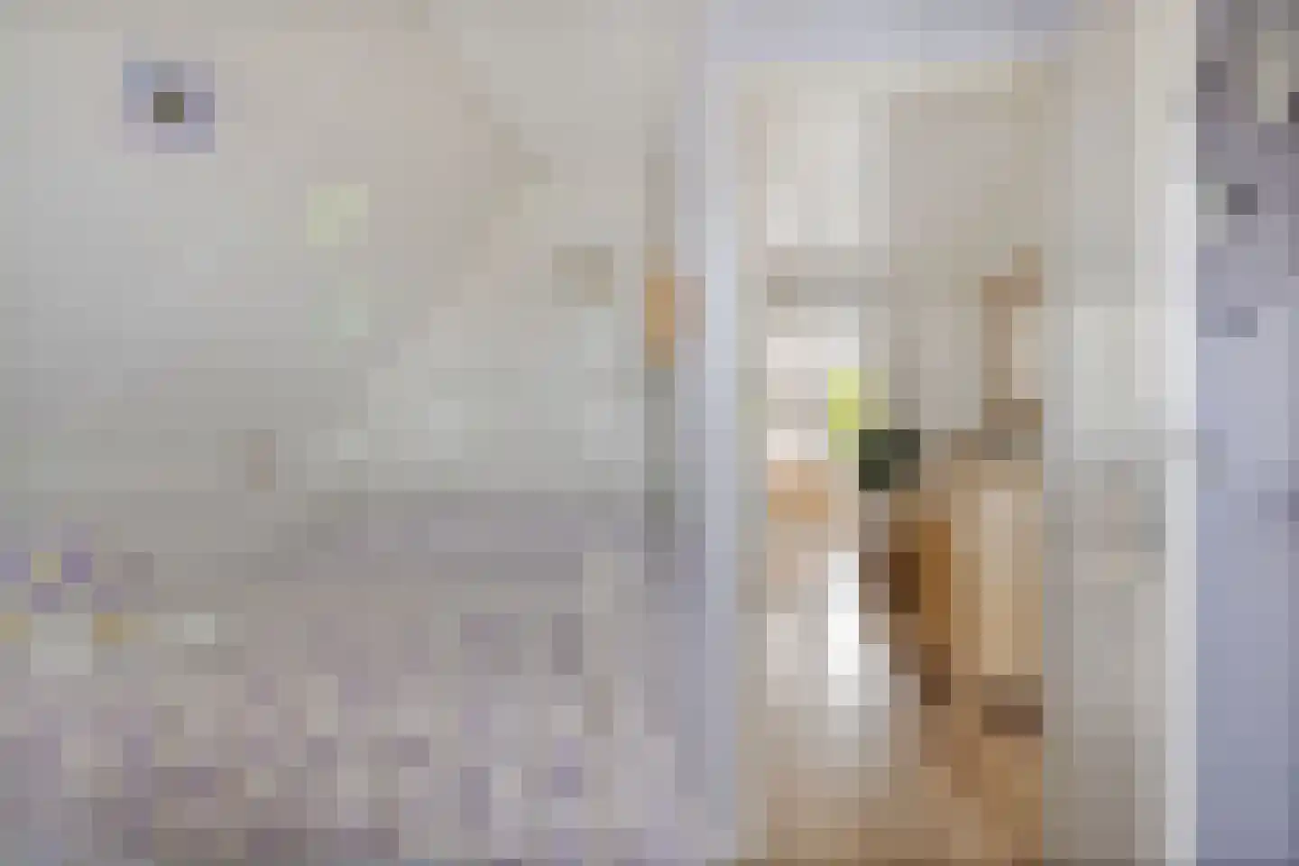 de Line 2 Jubbega thumbnail 36