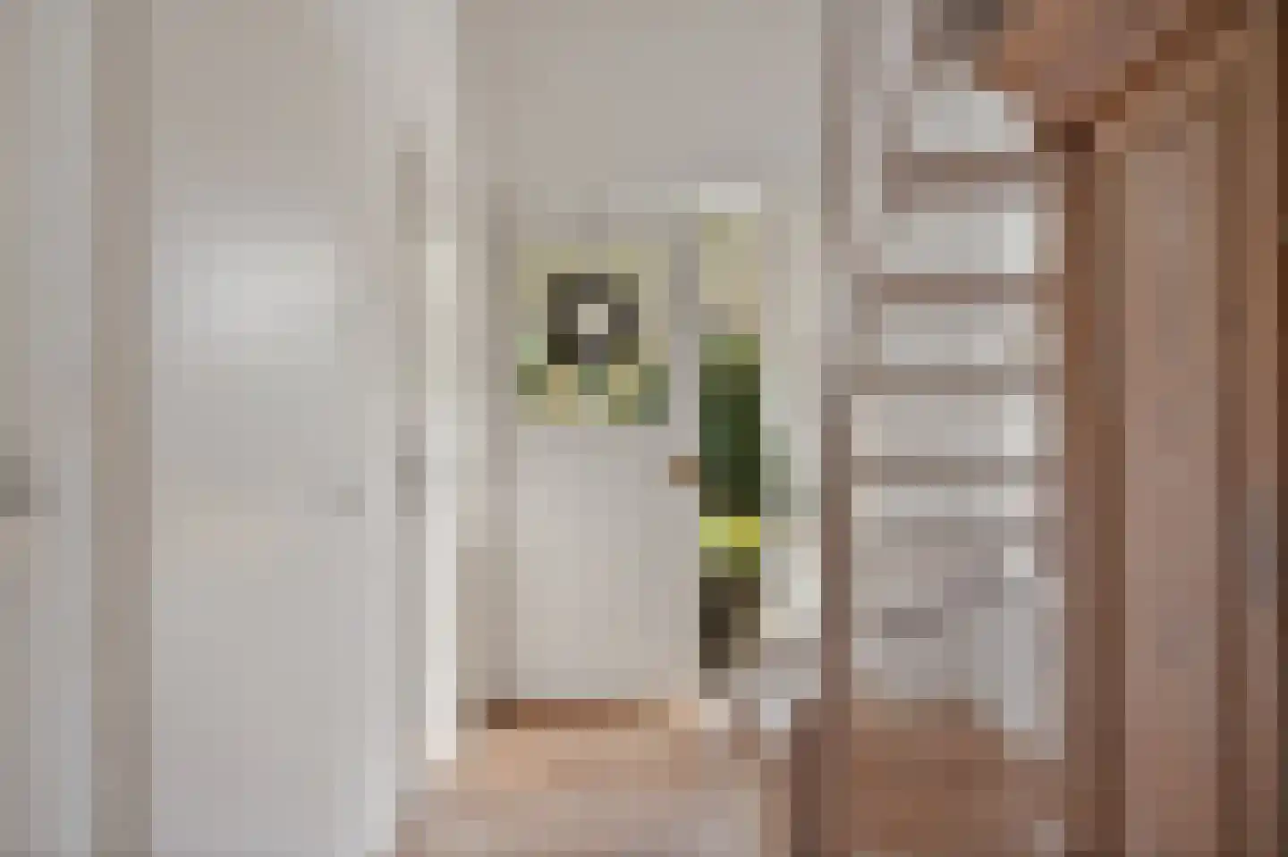 de Line 2 Jubbega thumbnail 9