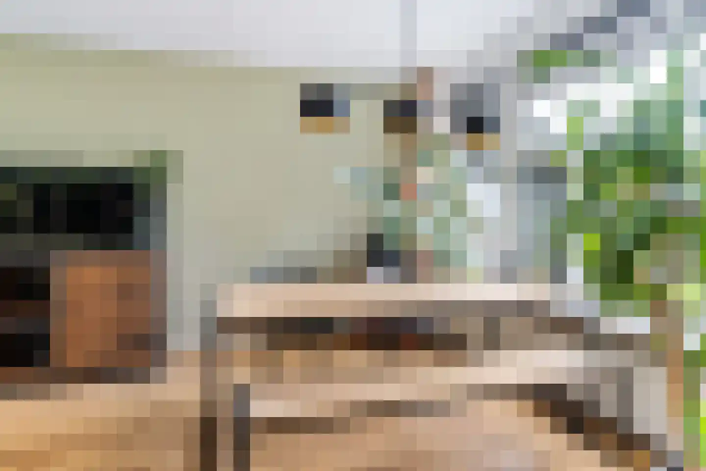 De Linebeammen 16 Houtigehage thumbnail 13