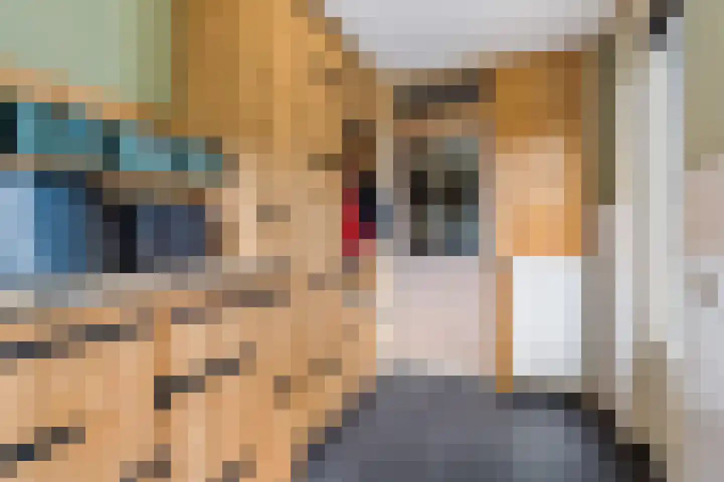 De Linebeammen 16 Houtigehage thumbnail 17