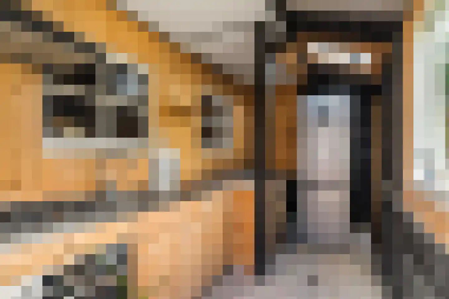 De Linebeammen 16 Houtigehage thumbnail 20