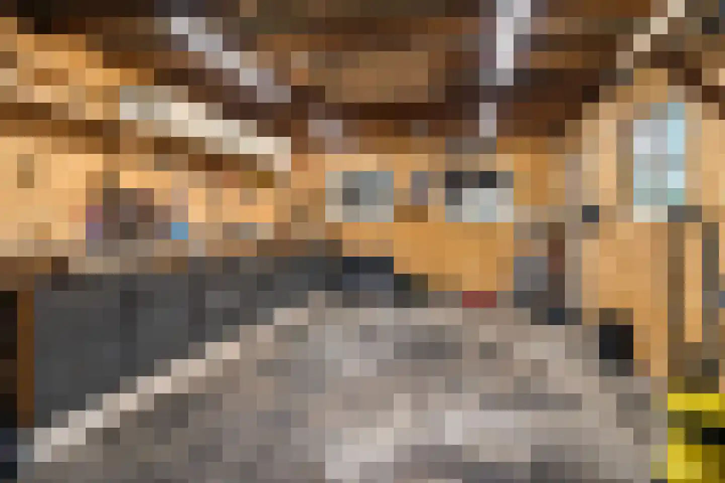 De Linebeammen 16 Houtigehage thumbnail 21
