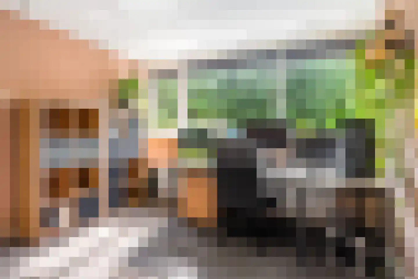 De Linebeammen 16 Houtigehage thumbnail 29